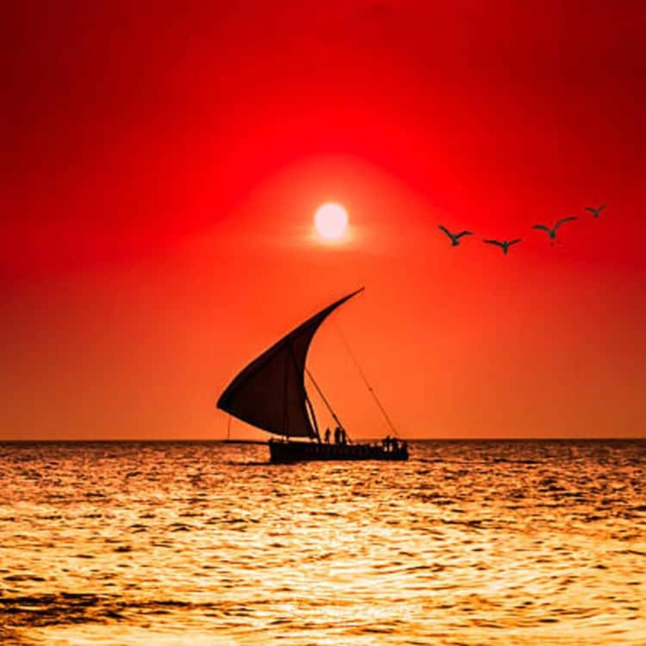 Sunset sailing dhow