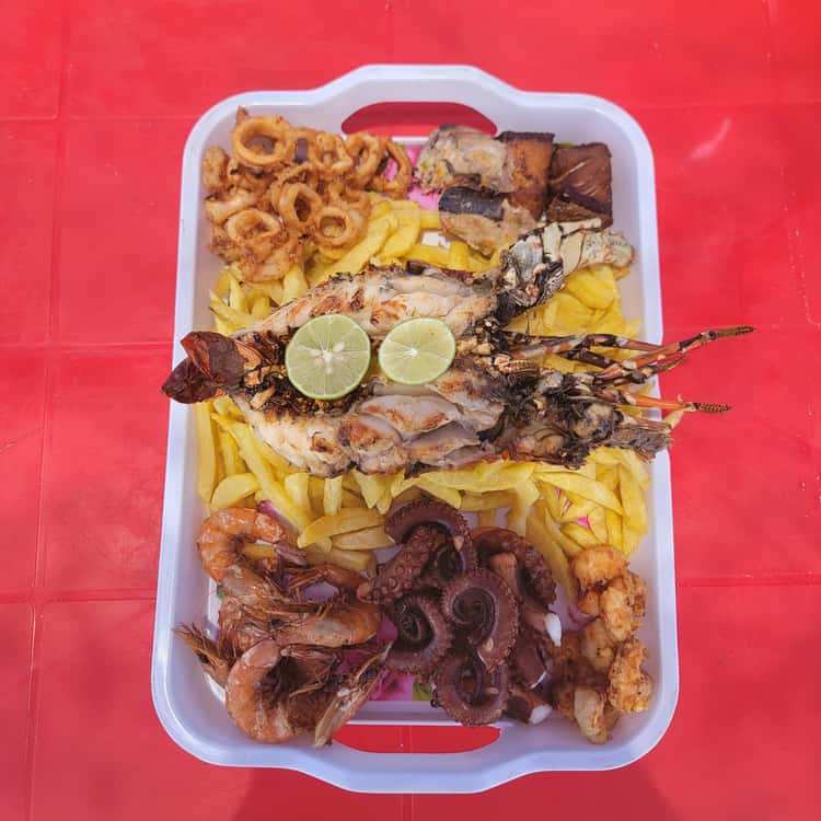 Octopus and calamari